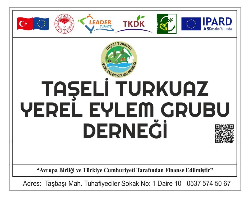 Taşeli Turkuaz Yeg